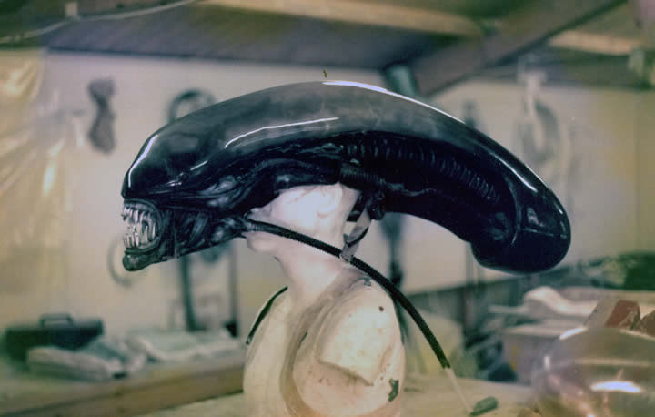 Alien head on manikin02